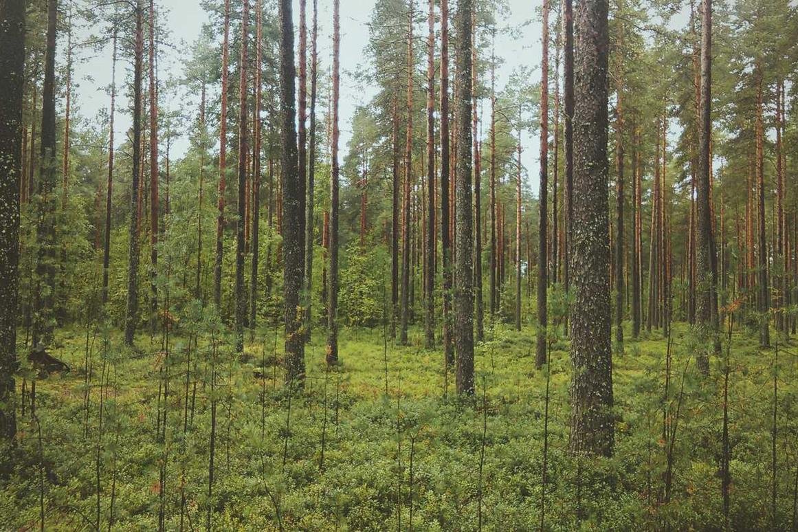 Consequatur temporibus